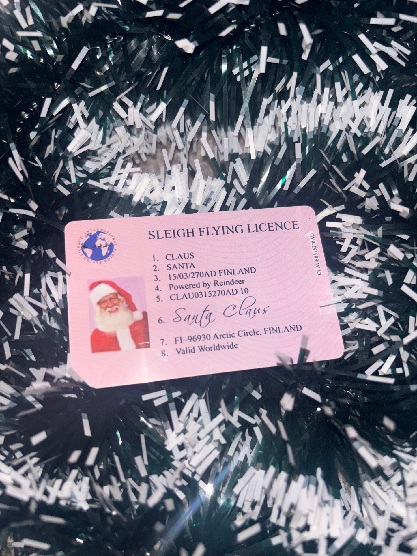 Santa Driving license